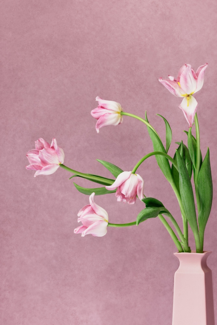 Tulips in a pink vase (tweeluik)