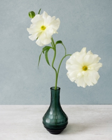 ranunculus-in-a-green-vase-3-1-10