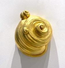 facial-snail-1